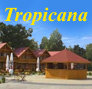 Tropicana - Jastrzbia Gra